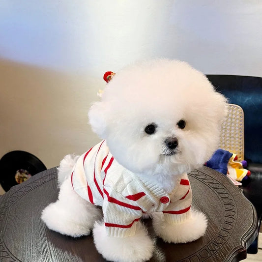 Dog Cardigan Sweater – Winter Striped Knitwear for Small Puppies, Schnauzers, Warm Two-Leg Outfit XS-XL